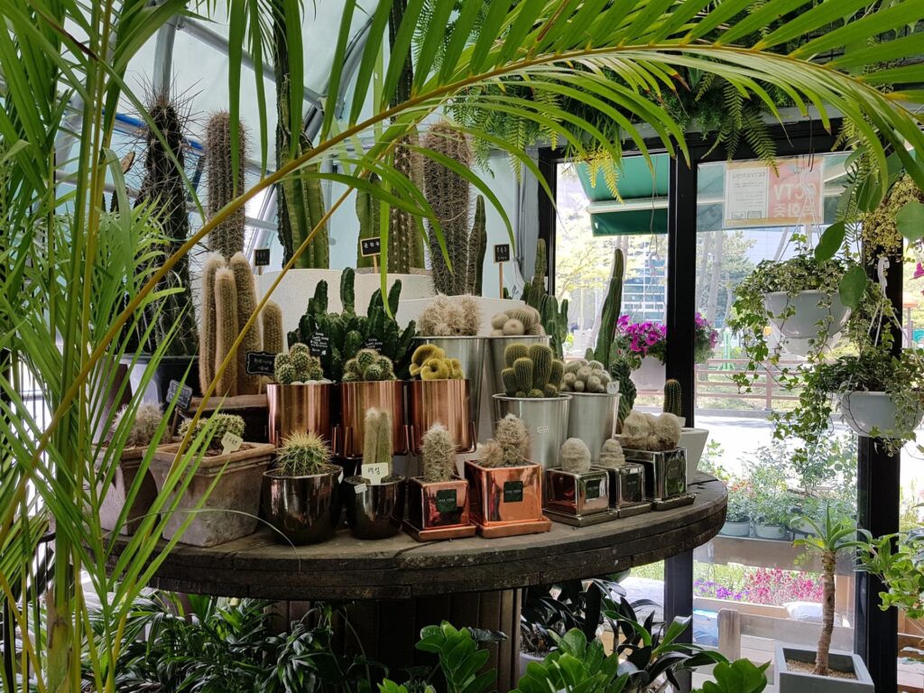 Tienda física animales 2